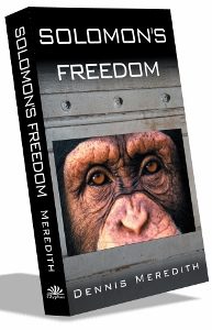 Solomon's Freedom Book Cover